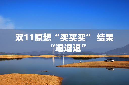 双11原想“买买买” 结果“退退退”