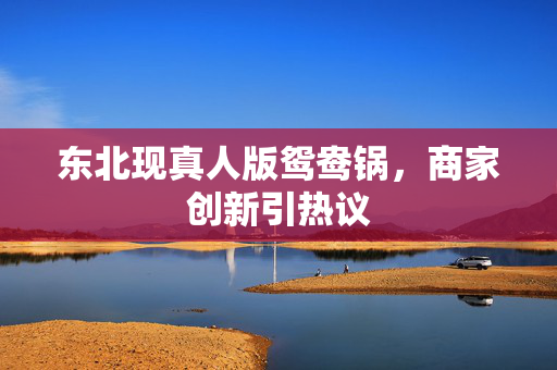 东北现真人版鸳鸯锅，商家创新引热议