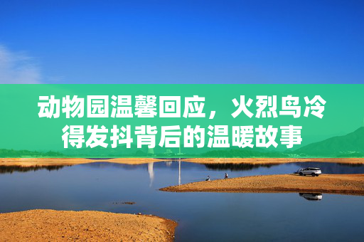 动物园温馨回应，火烈鸟冷得发抖背后的温暖故事