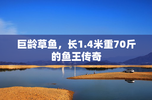 巨龄草鱼，长1.4米重70斤的鱼王传奇