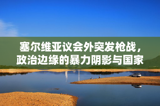 塞尔维亚议会外突发枪战，政治边缘的暴力阴影与国家安全的警钟
