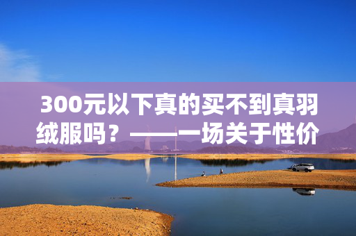 300元以下真的买不到真羽绒服吗？——一场关于性价比与真实性的深度探讨