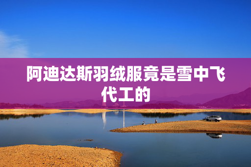 阿迪达斯羽绒服竟是雪中飞代工的