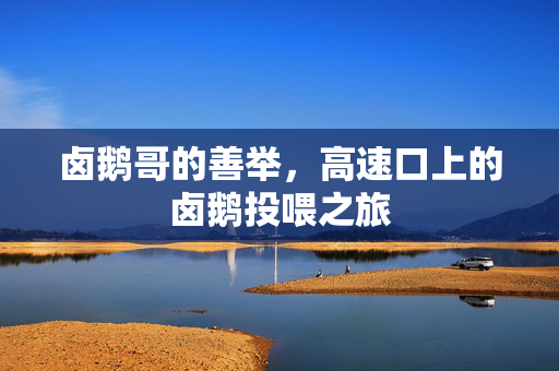 卤鹅哥的善举，高速口上的卤鹅投喂之旅
