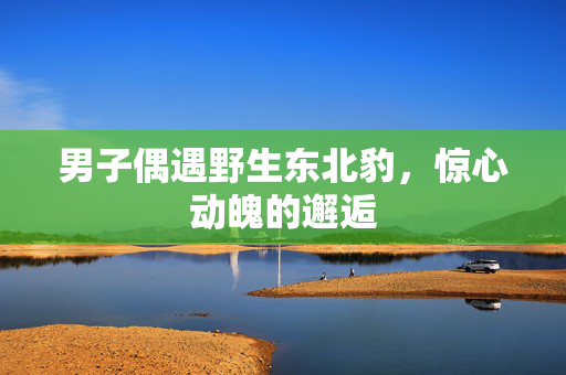 男子偶遇野生东北豹，惊心动魄的邂逅