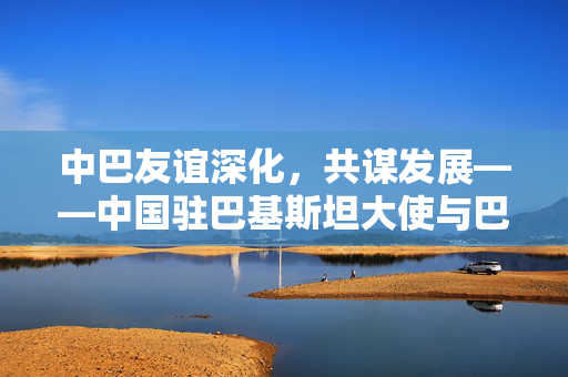 中巴友谊深化，共谋发展——中国驻巴基斯坦大使与巴总理会面纪实
