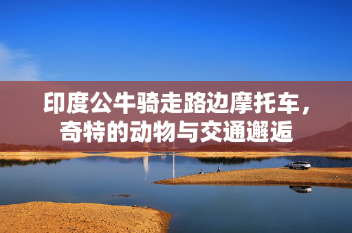 印度公牛骑走路边摩托车，奇特的动物与交通邂逅