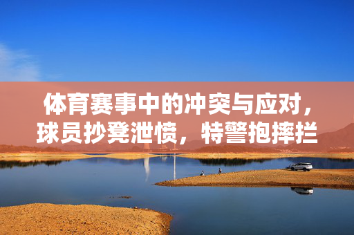 体育赛事中的冲突与应对，球员抄凳泄愤，特警抱摔拦下