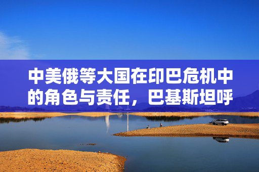 中美俄等大国在印巴危机中的角色与责任，巴基斯坦呼吁国际社会介入的背后考量
