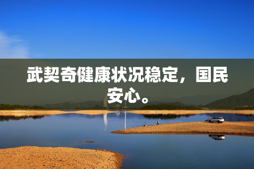 武契奇健康状况稳定，国民安心。