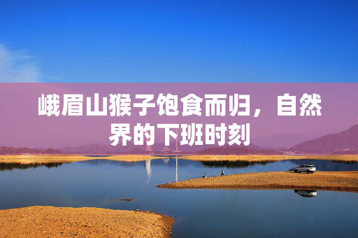 峨眉山猴子饱食而归，自然界的下班时刻